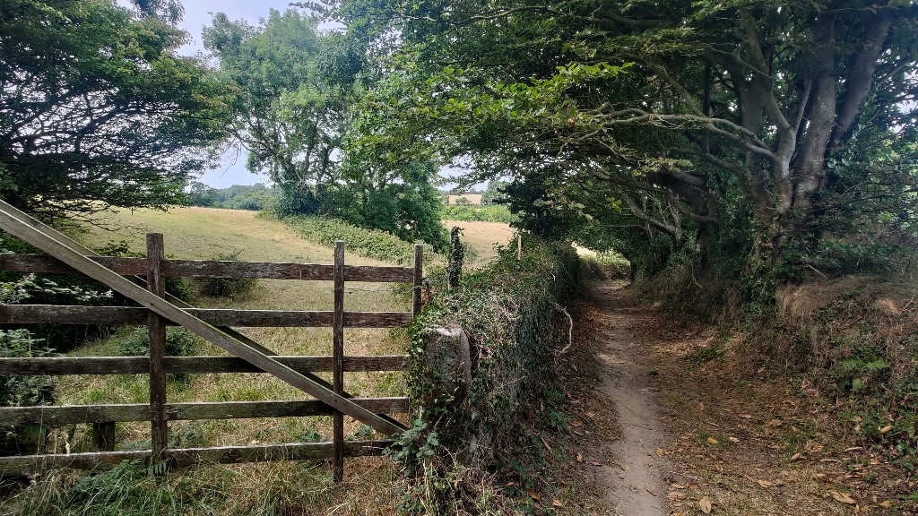 Paysage de campagne. à gauche l'entrée d'un champs fermé par une barrière en bois, à droite une allée en terre, une haie sépare les deux et ajoute à la perspective. un très grand arbre part de la droite et recouvre l'allée