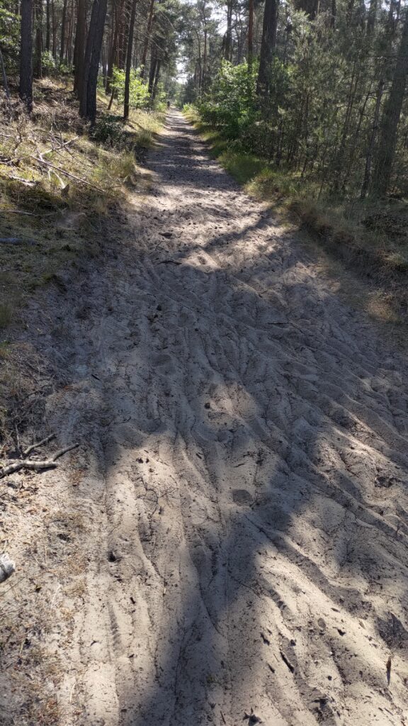 Chemin de sable mou dans les bois