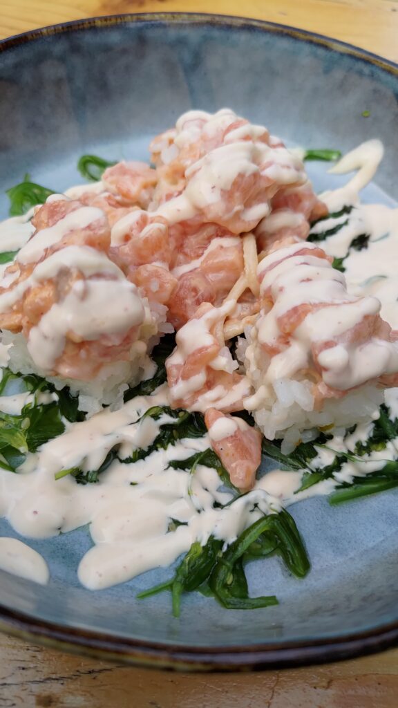 Un plat de saumon avec du riz
