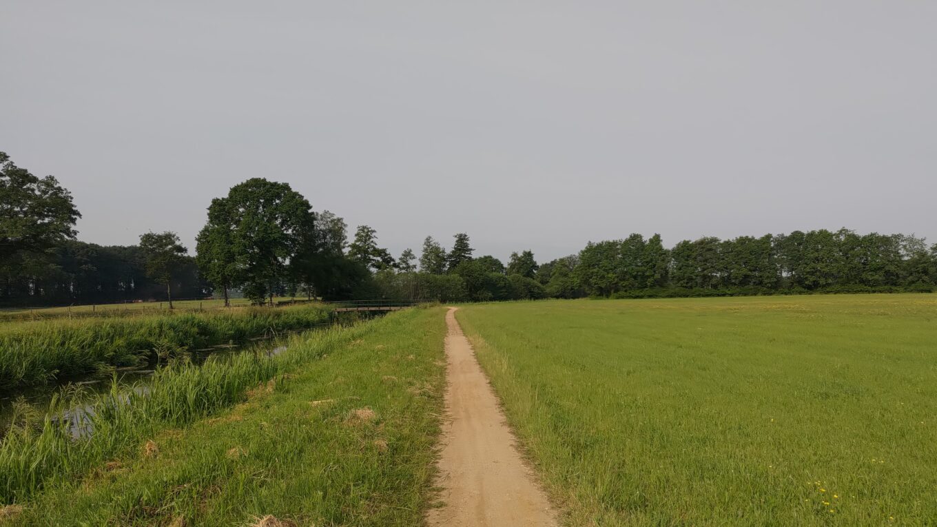 Chemin de sable au milieu d'un champs d'herbes très vertes