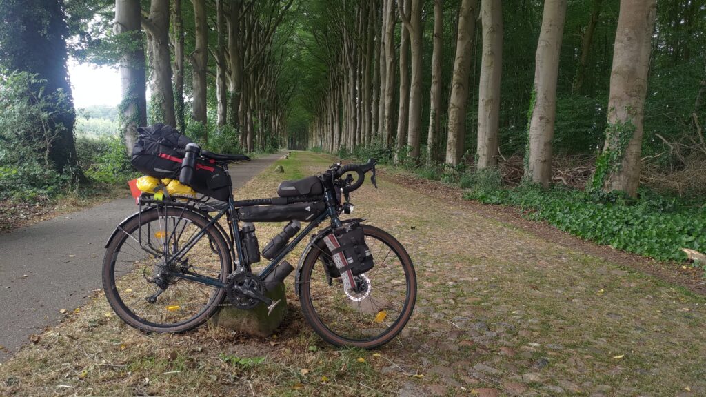 Vélo en appui sur une roche, perspective de grands arbres de chaque côté, une piste cyclable bitumée à gauche occupé 1/4 de l'espace entre le arbre, le reste est une route de vieux pavés