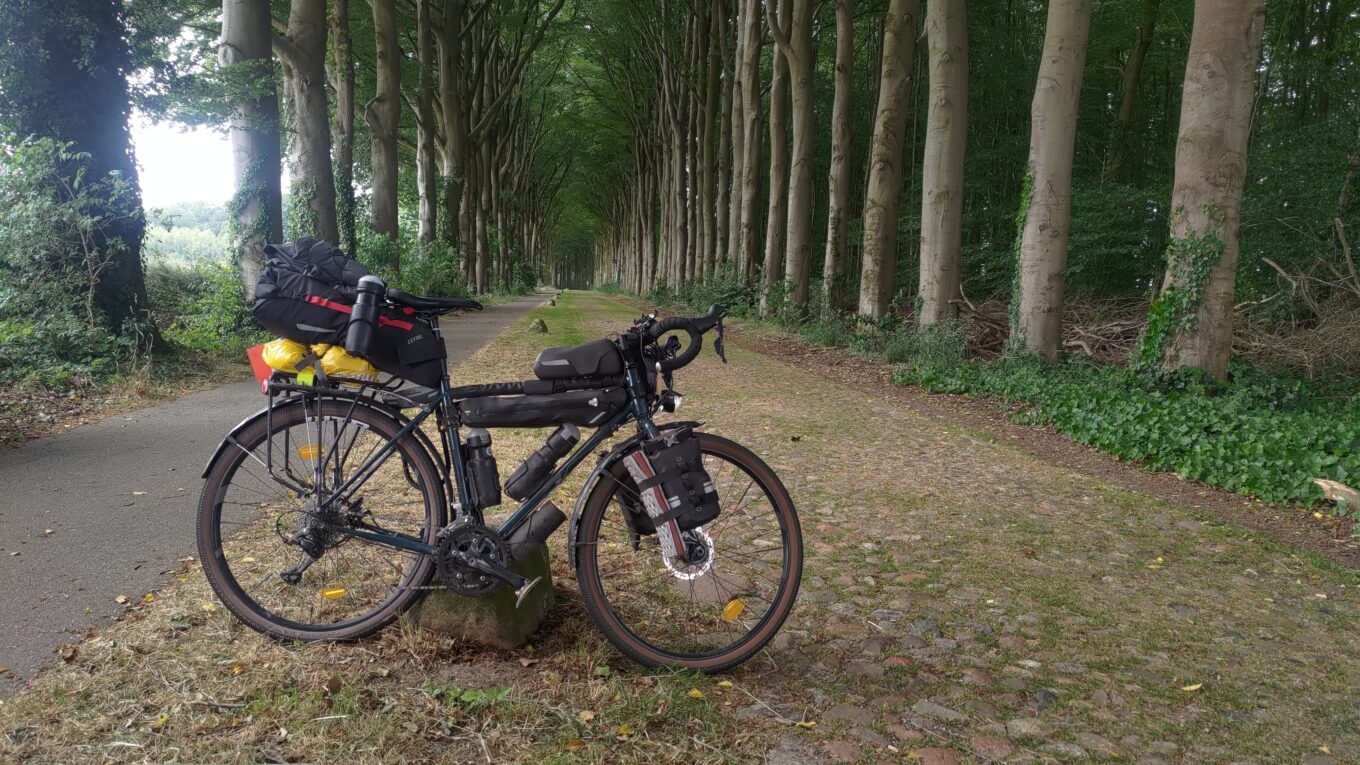 Vélo en appui sur une roche, perspective de grands arbres de chaque côté, une piste cyclable bitumée à gauche occupé 1/4 de l'espace entre le arbre, le reste est une route de vieux pavés