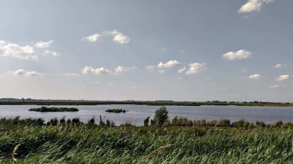 Vaste étendue d'eau avec quelqu'un iles recouvertes d'herbes hautes. Plein d'oiseaux