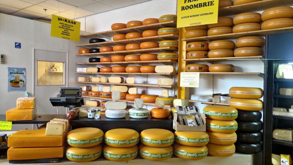 Un magasin de fromages en Hollande, rempli de meules entières