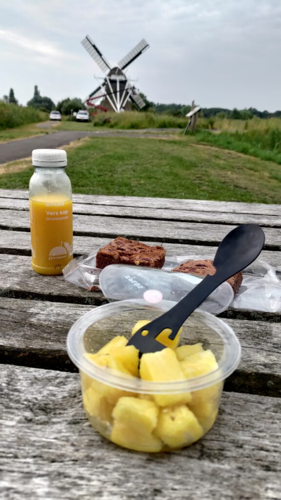 Posés sur une table de picnic, une boîte d'ananas en morceaux, une bouteille de jus d'orange et deux parts de brownie. En arrière plan un moulin à vent