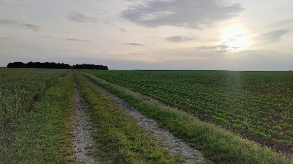 Paysage de campagne, route à tracteur au milieu des champs qui part vers un point de fuite vers la gauche de l'image avec un bois à l'horizon à gauche. sur la droite le soleil couchant masqué par des nuages
