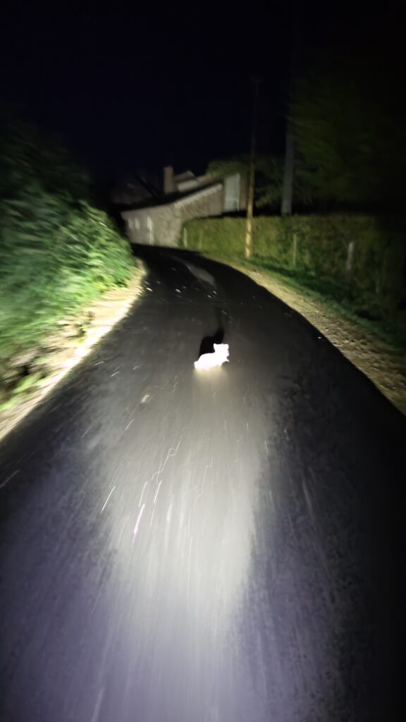 Mauvaise photo de nuit d'une route éclairée par le phare d'un vélo. Un truc très sur exposé est au milieu de la route. On veut bien croire que c'est un petit lapin mais il faut de l'imagination