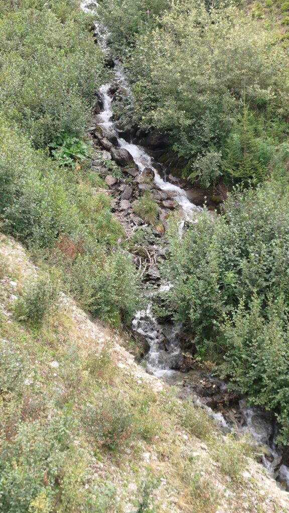 Vue du haut d'une petite rivière coulant entre les sapins à la montagne