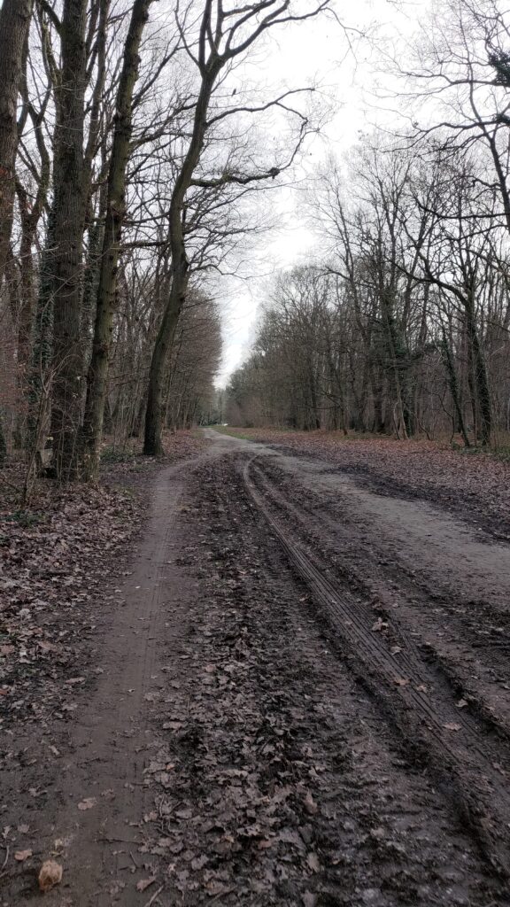 En forêt l'hiver, un chemin large et boueux qu'il faut contourner pour passer en vélo