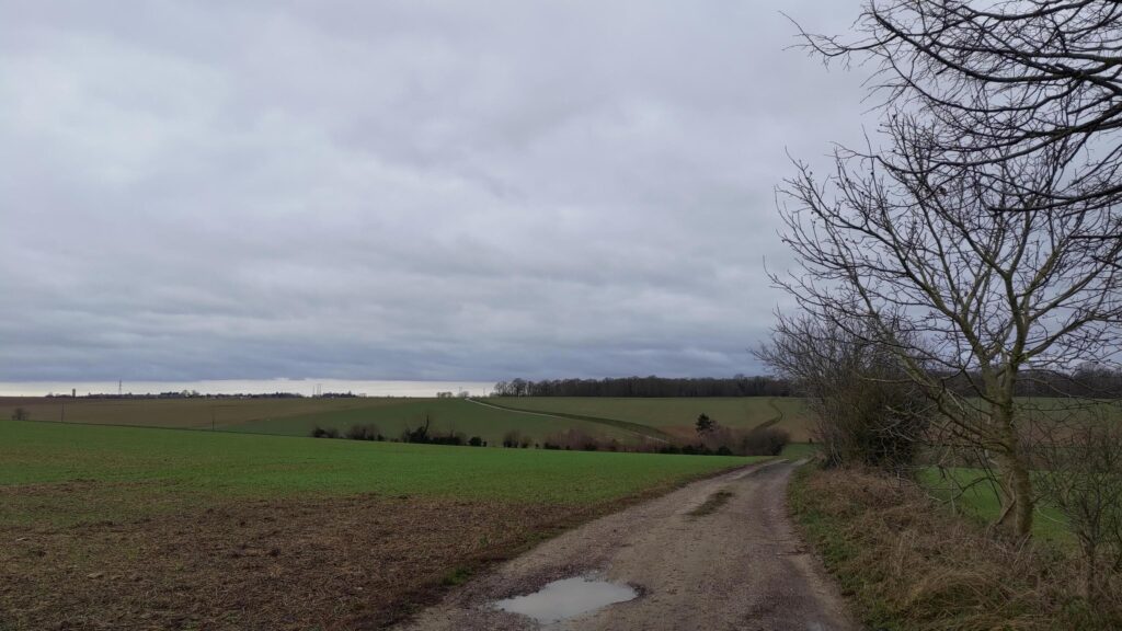 Paysage de champs à la campagne sous un ciel hivernal, vallonné. Une route de terre part du premier plan, serpente et remonte sur une colline en arrière plan.