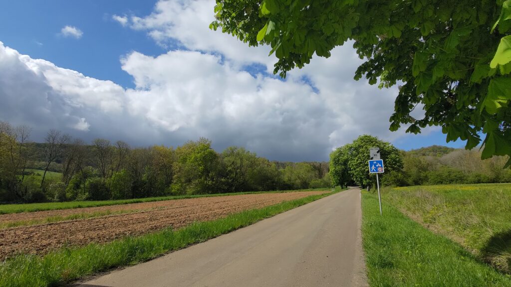 Petite route à la campagne, forêt à l'horizon