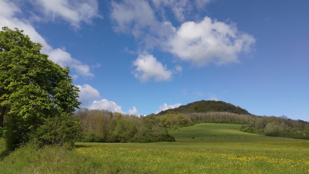Paysage de campagne