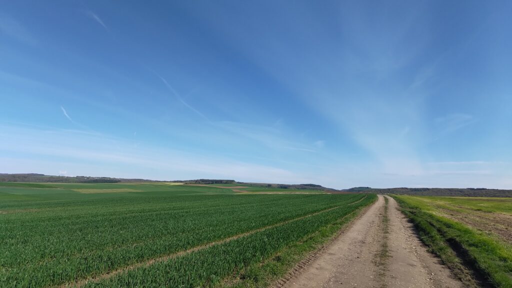 Chemin de terre et paysage de campagne