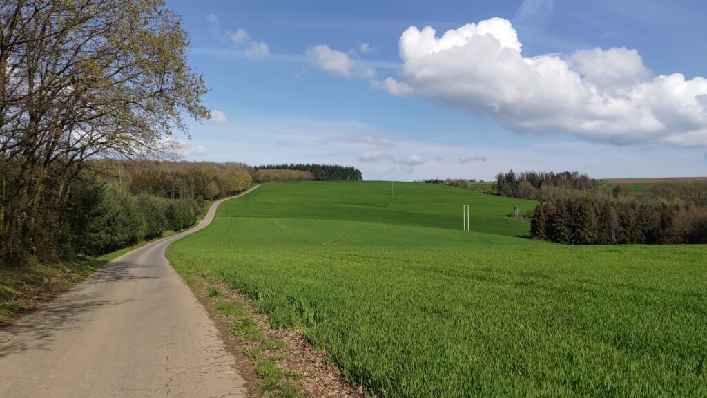 Petite route et paysage de campagne ensoleillé