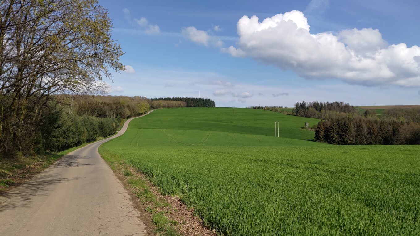 Petite route et paysage de campagne ensoleillé
