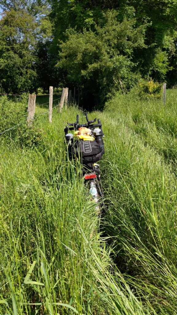 Chemin avec de très hautes herbes et des ornières profondes. Un vélo tient seul enfoncé dans une ornière, l'herbe arrive à mi hauteur du vélo