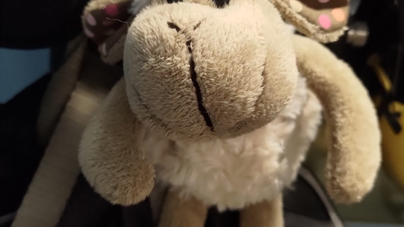 Petite peluche mouton accrochée à un vélo