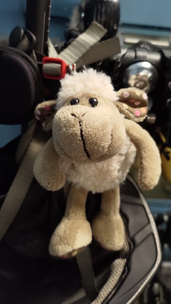 Petite peluche mouton accrochée à un vélo