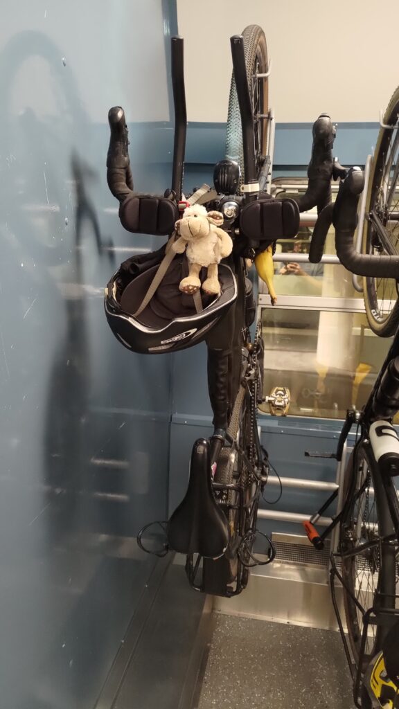 Vélo suspendu dans un compartiment dz train. On distingue un casque et une petite peluche accrochés au vélo
