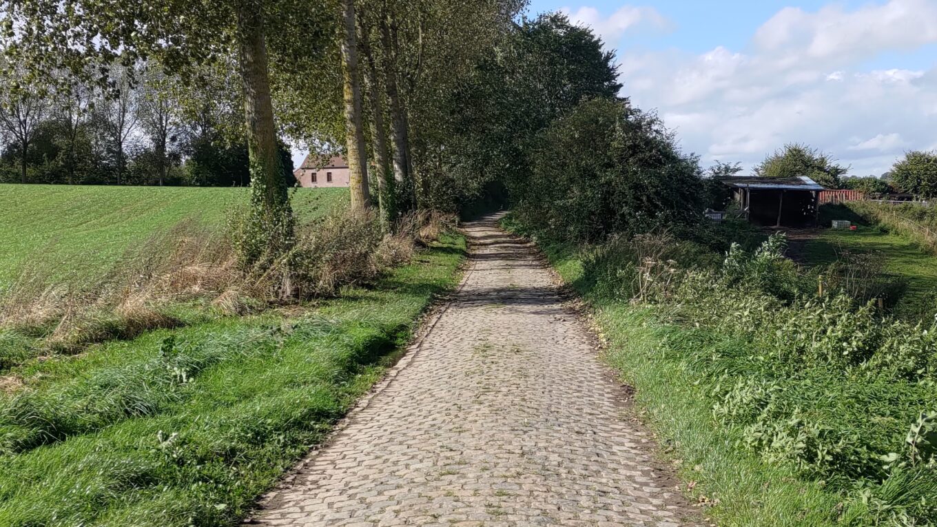 route pavée à la campagne