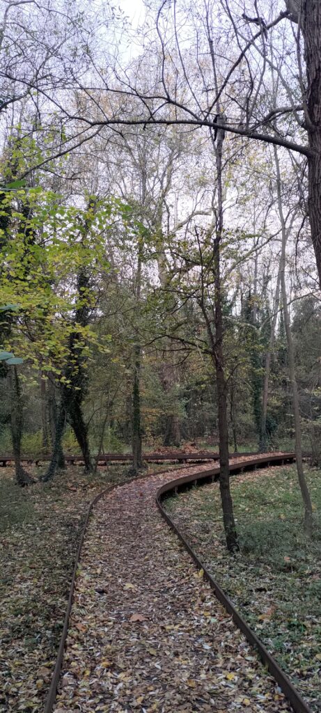 Vu d'un chemin dans un parc construit sur pilotis, le sol étant marécageux