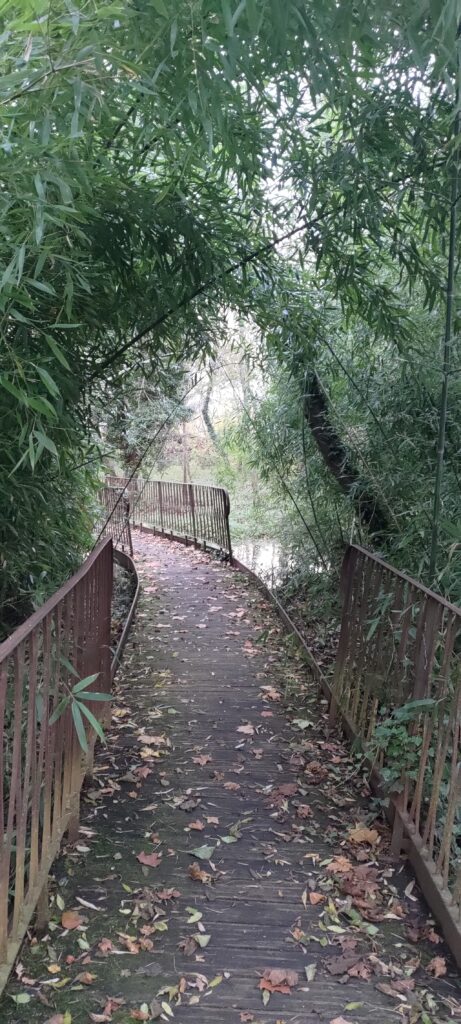 Vu d'un chemin dans un parc construit sur pilotis, le sol étant marécageux. De part et d'autres du chemin des barrières et on passe sous des bambous