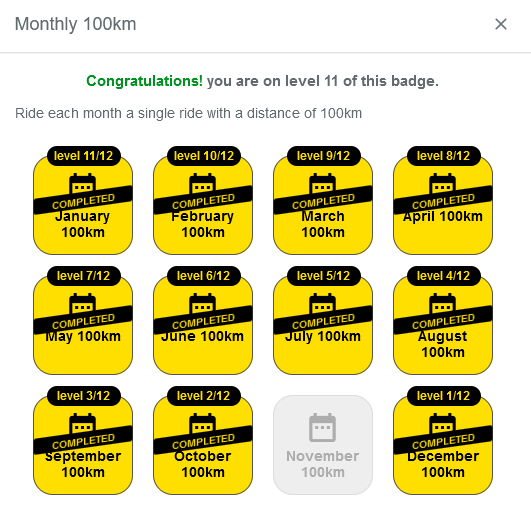 Capture d'écran de #statshunters pour le badge "Monthly 100km" . "Ride each month a single ride with a distance of 100km". Il manque seulement le mois de novembre