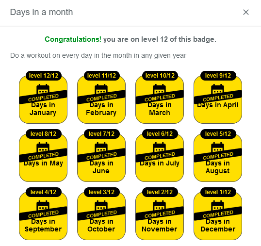 Capture d'écran de Statshunters indiquant les 12 badges "Days in month" validés