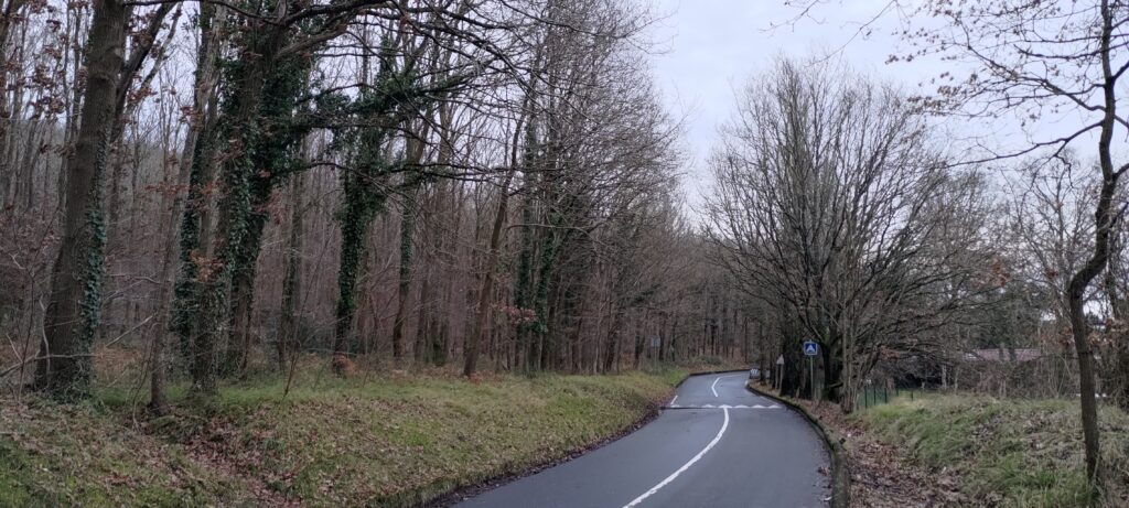 Petite route à travers bois en fin de journée d'hiver