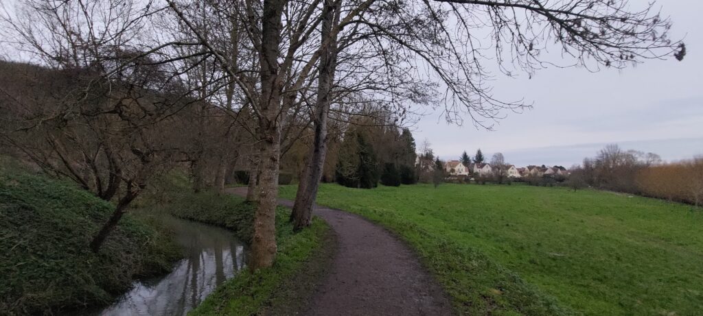 Chemin en bord d'une petite rivière bordée d'arbres et une plaine verte de l'autre côté en fin de journée d'hiver