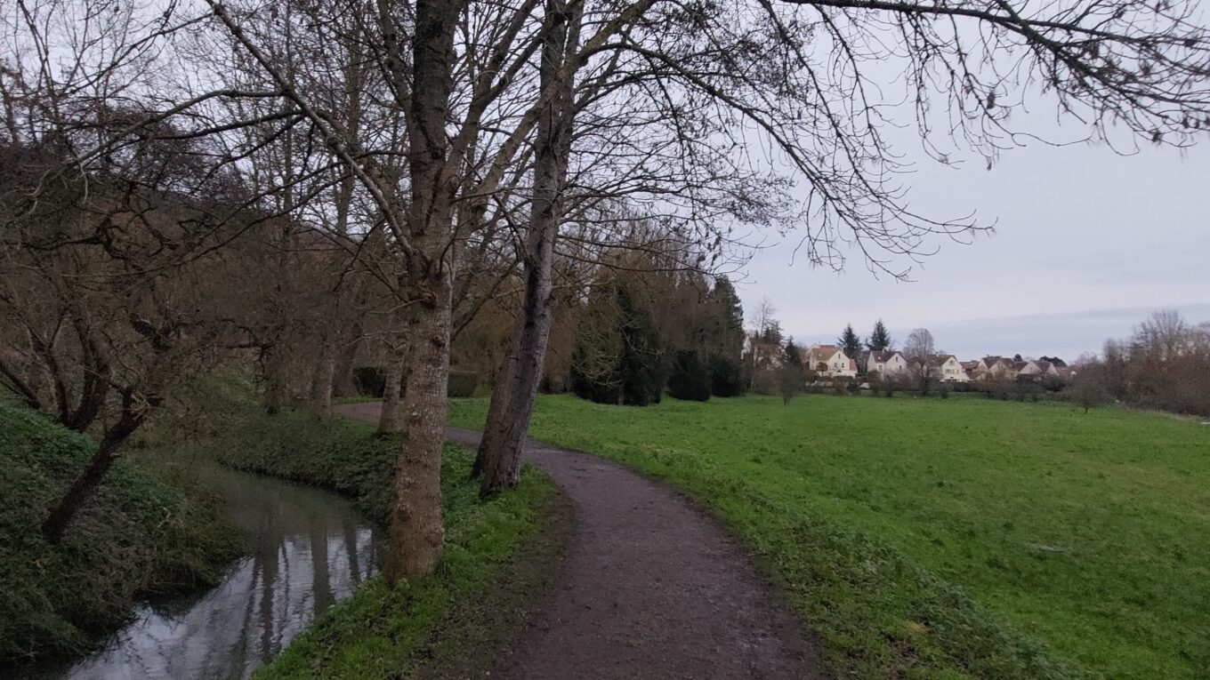 Chemin en bord d'une petite rivière bordée d'arbres et une plaine verte de l'autre côté en fin de journée d'hiver