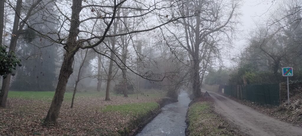 Vue sur une petite rivière (La Bièvre) dans l'axe de la rivière. À droite un chemin de promenade, à gauche un espace avec de l'herbe et des arbres. Léger brouillard et ciel gris