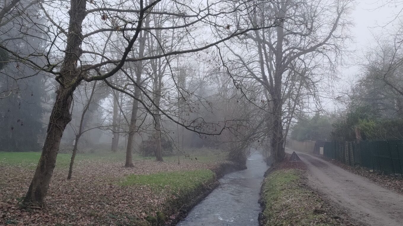 Vue sur une petite rivière (La Bièvre) dans l'axe de la rivière. À droite un chemin de promenade, à gauche un espace avec de l'herbe et des arbres. Léger brouillard et ciel gris