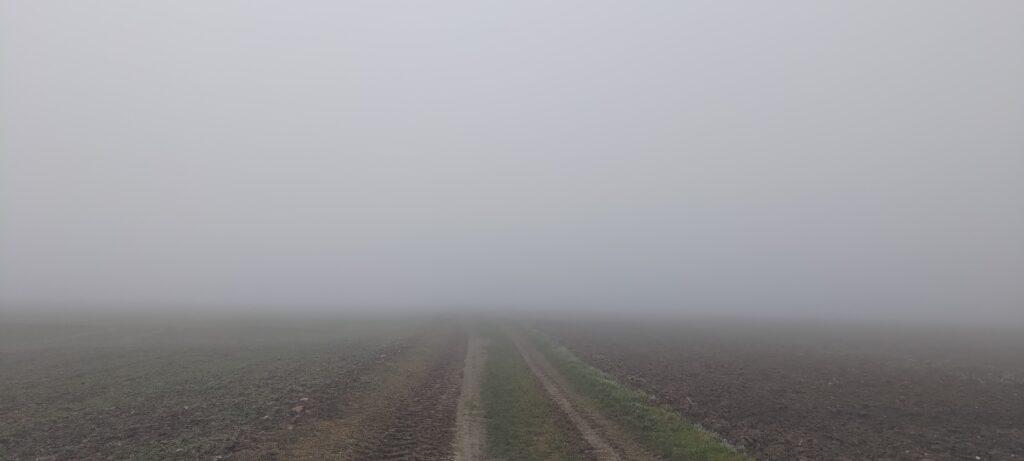 Un chemin à tracteur dans un champ vu dans le sens de la longueur. Des champs de part et d'autre. Le terrain est boueux, l'horizon invisible masqué par le brouillard et le ciel est gris.