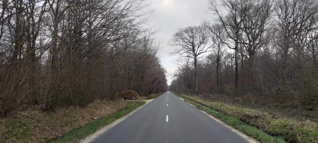Une grande route rectiligne au milieu d'une forêt, le ciel est gris, les arbres n'ont pas de feuille