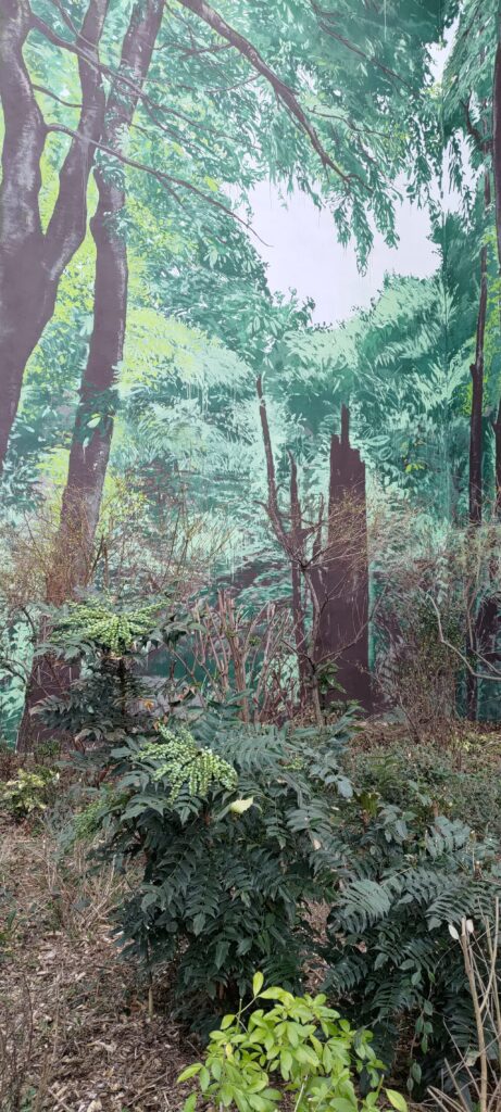 au premier plan de vraies plantes, en arrière plan un mur d'immeuble peint en forêt. Les deux se mélanges et laisse à penser à une forêt réelle