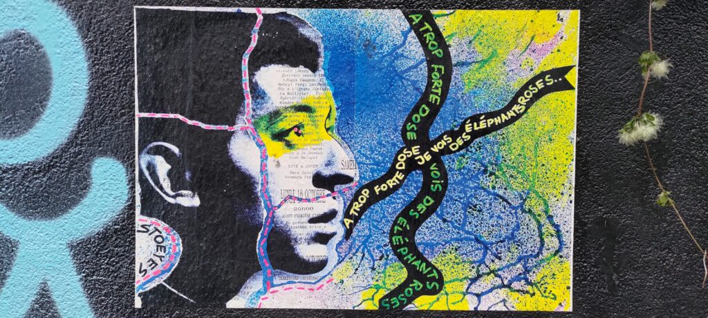 Pochoir d'un portrait de profil de Serge Gainsbourg jeune, texte "A trop forte dose je vois des élépahnts roses…"