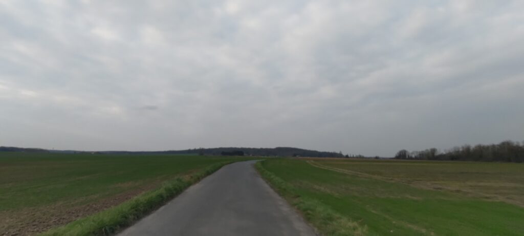Petite route dans une plaine à la campagne