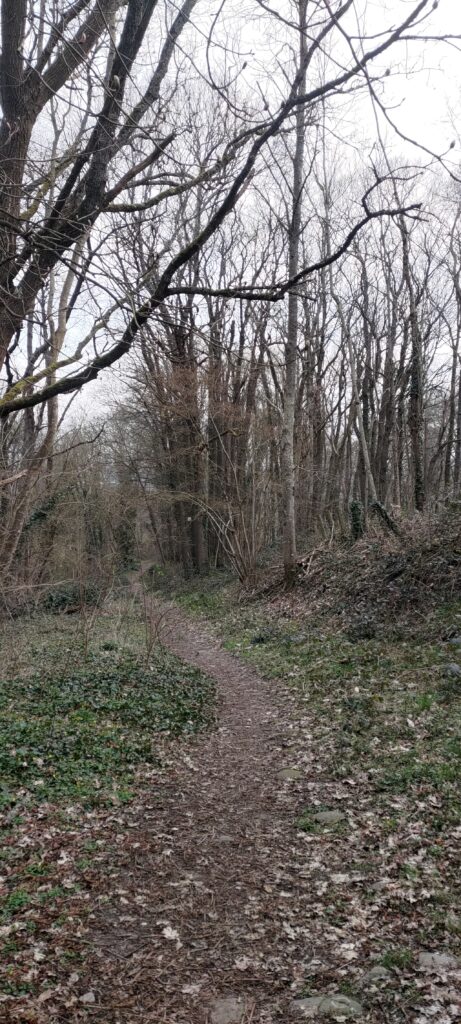 Chemin de terre en descente, ancienne voie romaine dont on distingue des très gros pavés à travers la terre