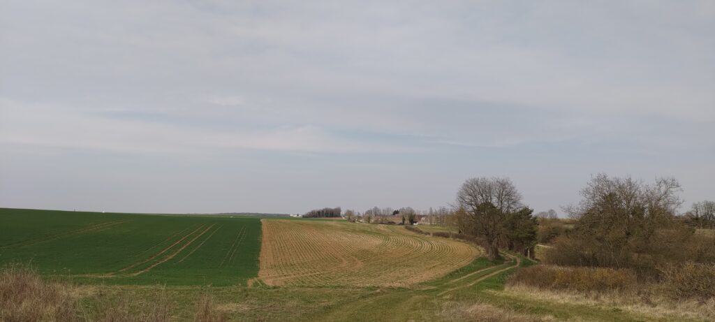 Vue d'un paysage de campagne vallonné depuis un chemin enherbé
