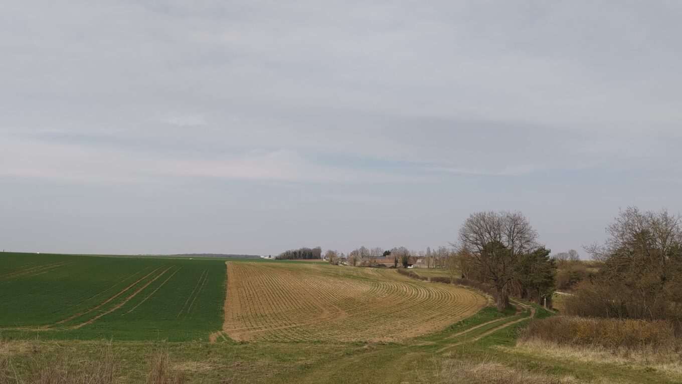 Vue d'un paysage de campagne vallonné depuis un chemin enherbé