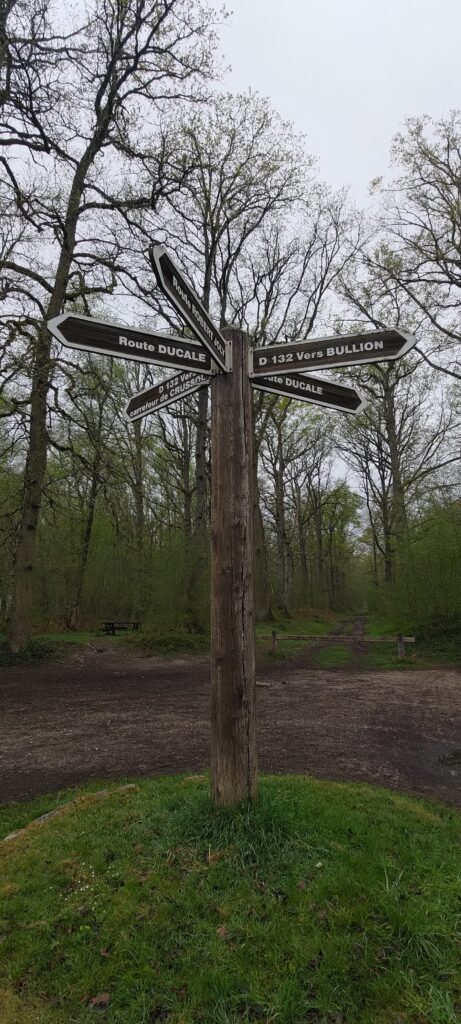Un poteau d'indication de direction dans une forêt avec des panneaux dans plusieurs directions en étoile