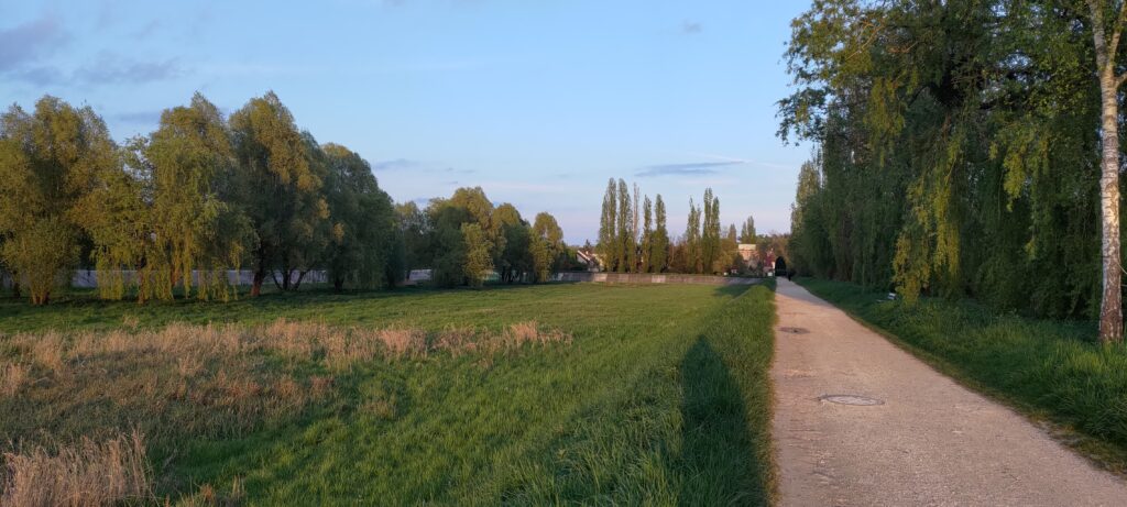 Piste cyclable en terre en bord d'un terrain en herbe