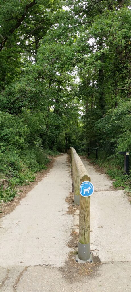 un espace séparé en deux par une barrière en bois, d'un côté une pente en béton, de l'autre des marches. On devine une forte pente vers le bas