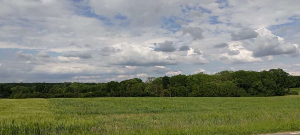 Paysage de campagne, au premier plan un champs, derrière un bois, ciel chargé de nuages