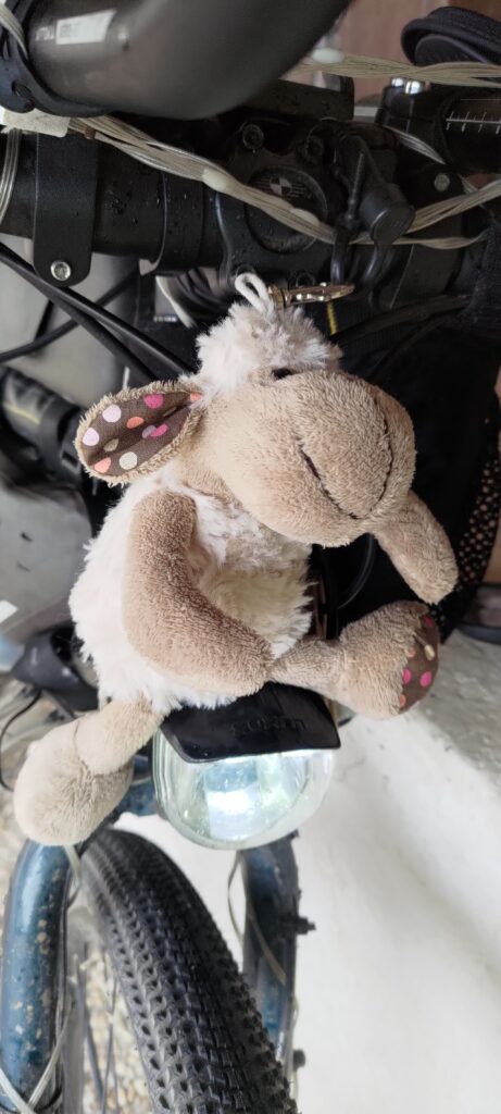 Gros plan sur une peluche mouton accrochée à un vélo