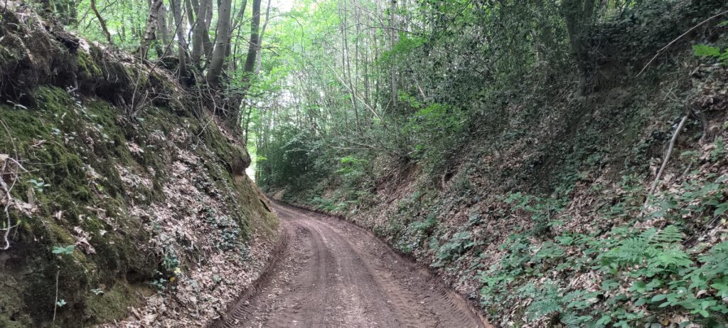 Un chemin en terre large comme une voie de voiture enclavée dans une forêt, dans une montée