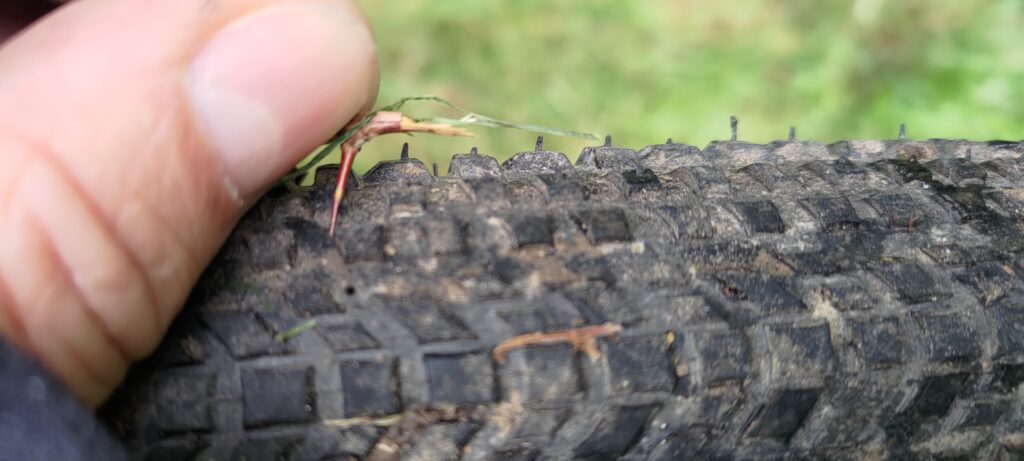 une petite branche tenue à la main avec une longue épine de 1,5cm, sortie d'un trou que l'on distingue parfaitement dans le pneu