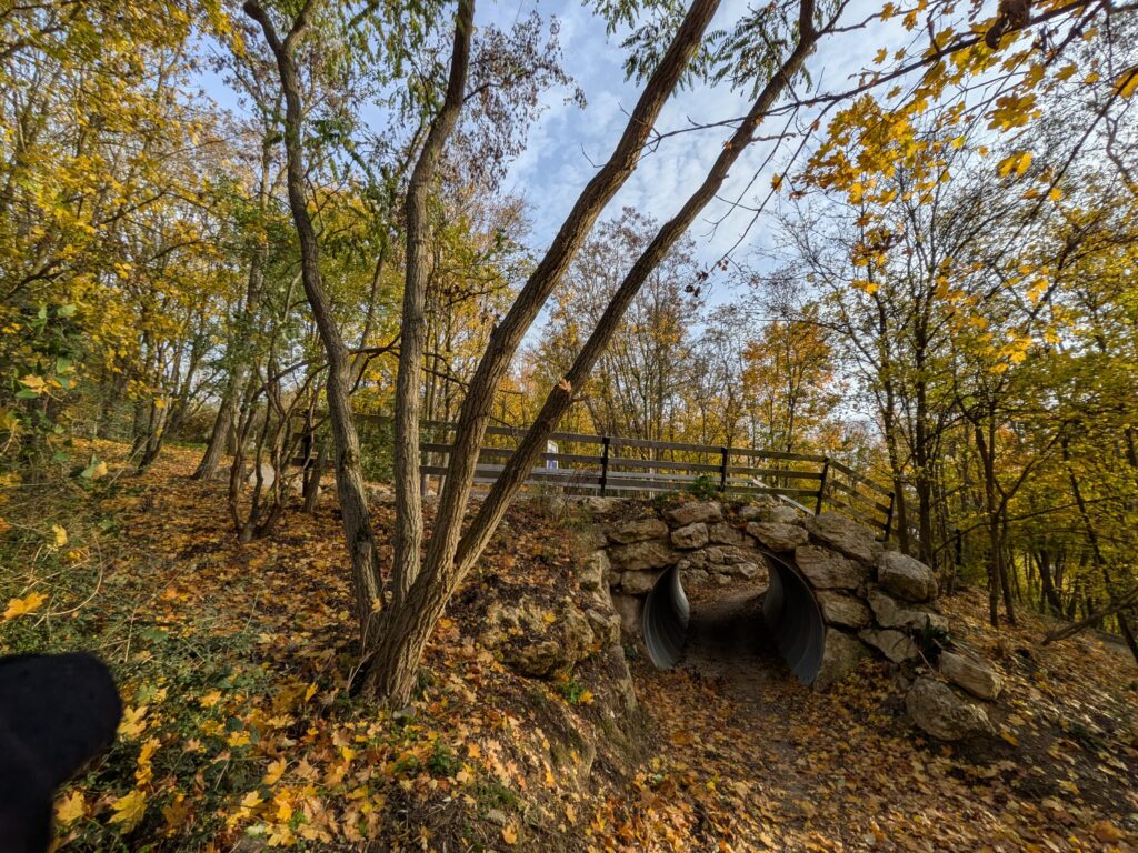 Vue dans les bois des parcours de VTT au niveau d'un tunnel. C'est l'automne est les feuilles mortes recouvrent tout le sol, tout est jaune orangé