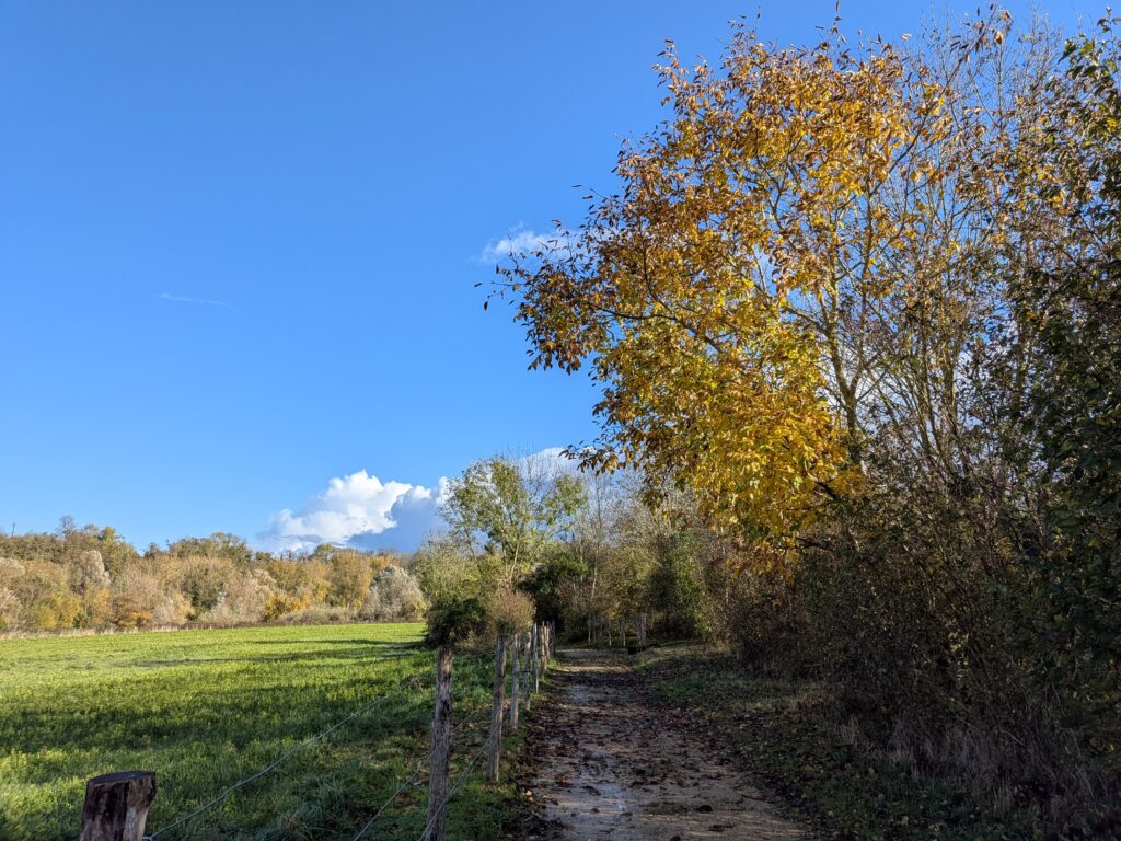 Chemin de campagne en automne grand ciel bleu